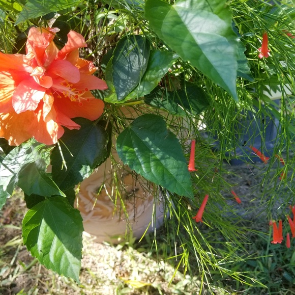 Meet your Posher, F s - Picture 1 of 1